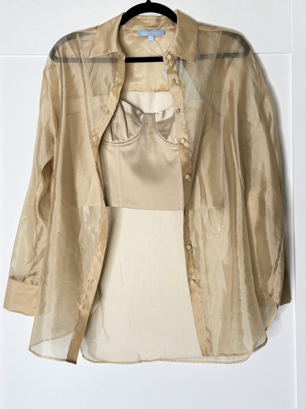 Antonio Melani champagne colored sheer button up shirt
